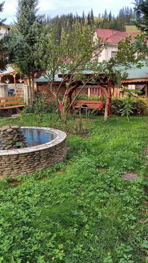 Casa Cu Lavanda 瓦特拉多梅 外观 照片