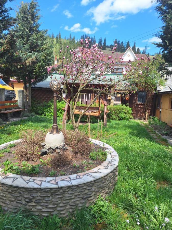 Casa Cu Lavanda 瓦特拉多梅 外观 照片